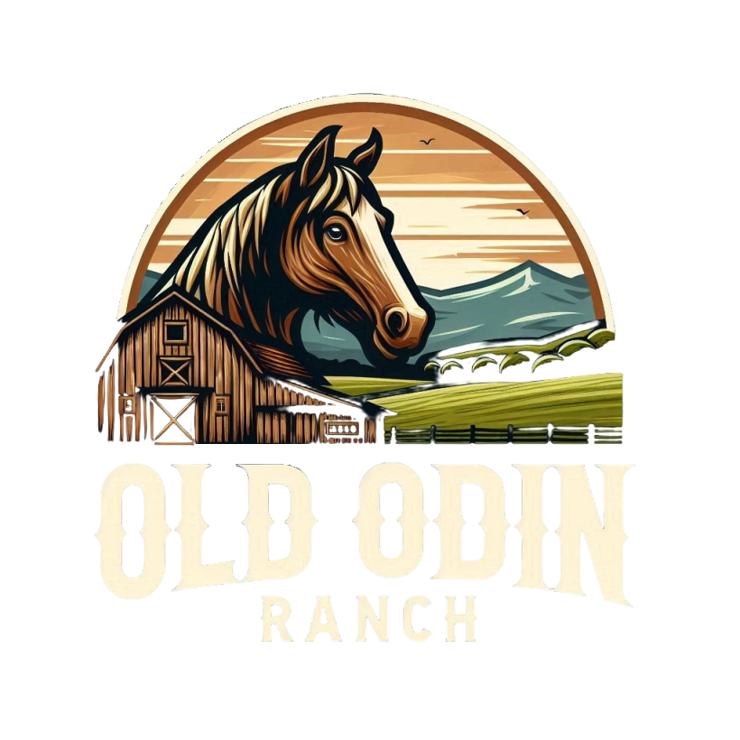 old-odin-ranch.com